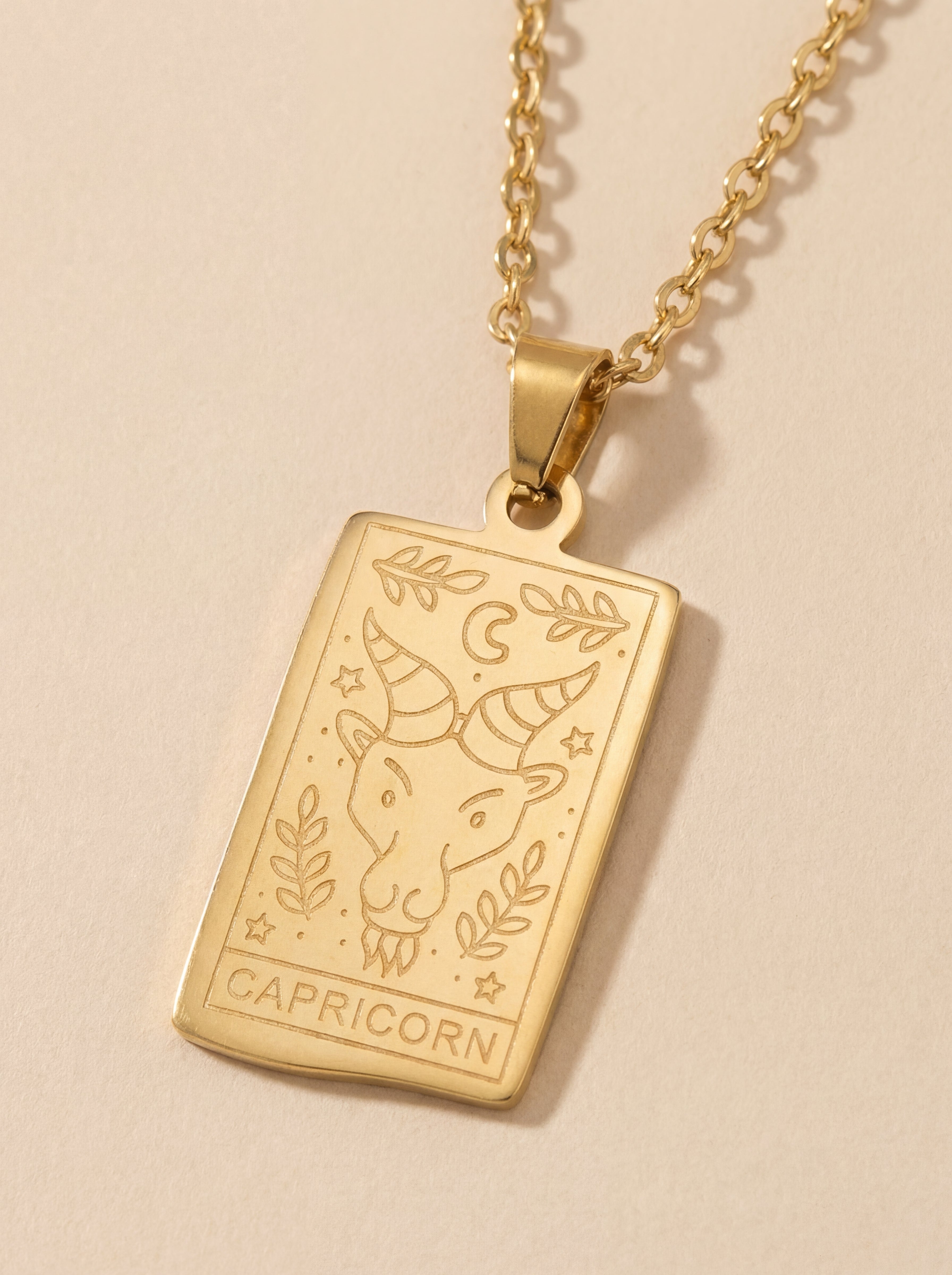 Studio Zodiac Necklace - Capricon