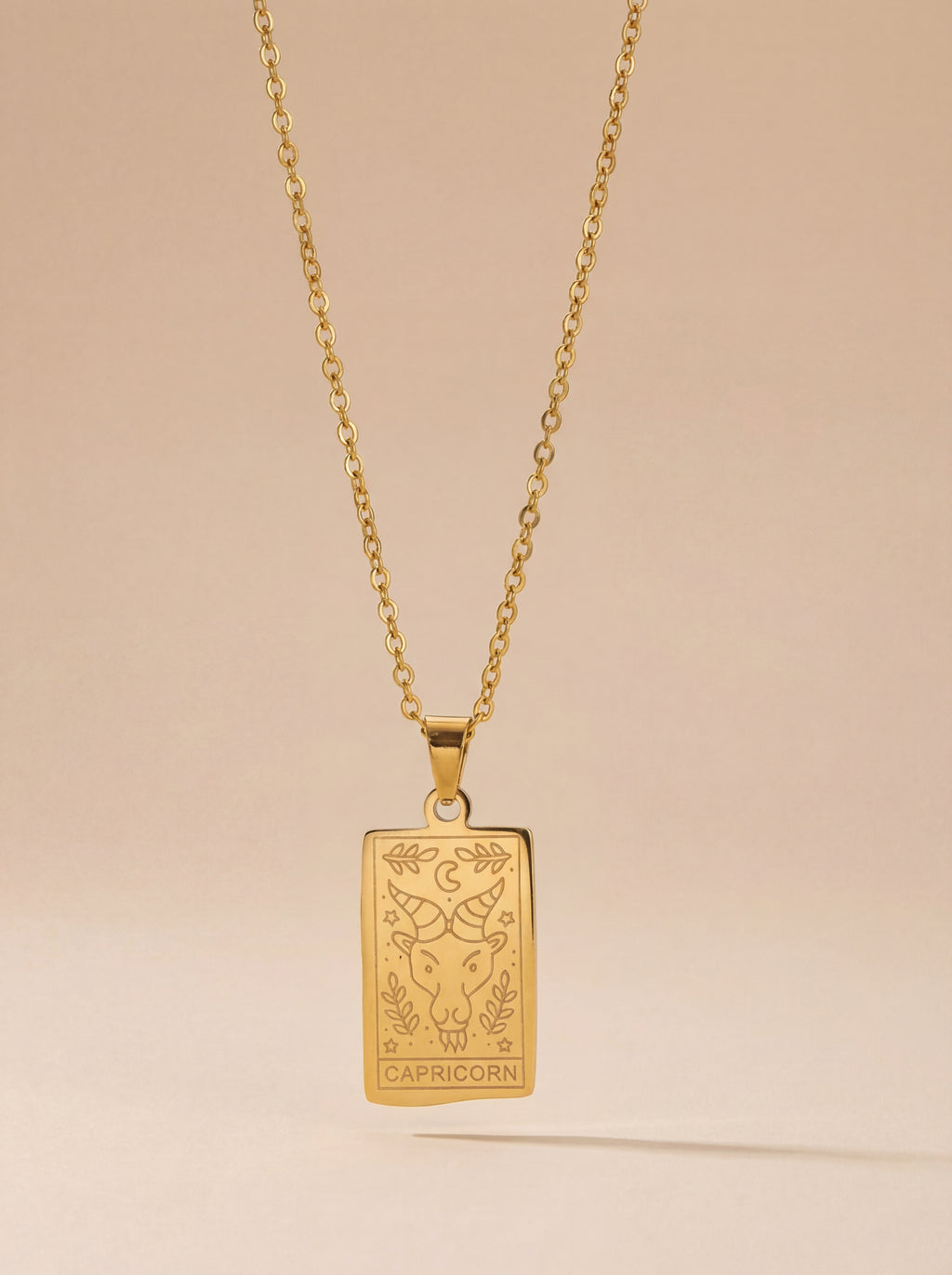 Studio Zodiac Necklace - Capricon